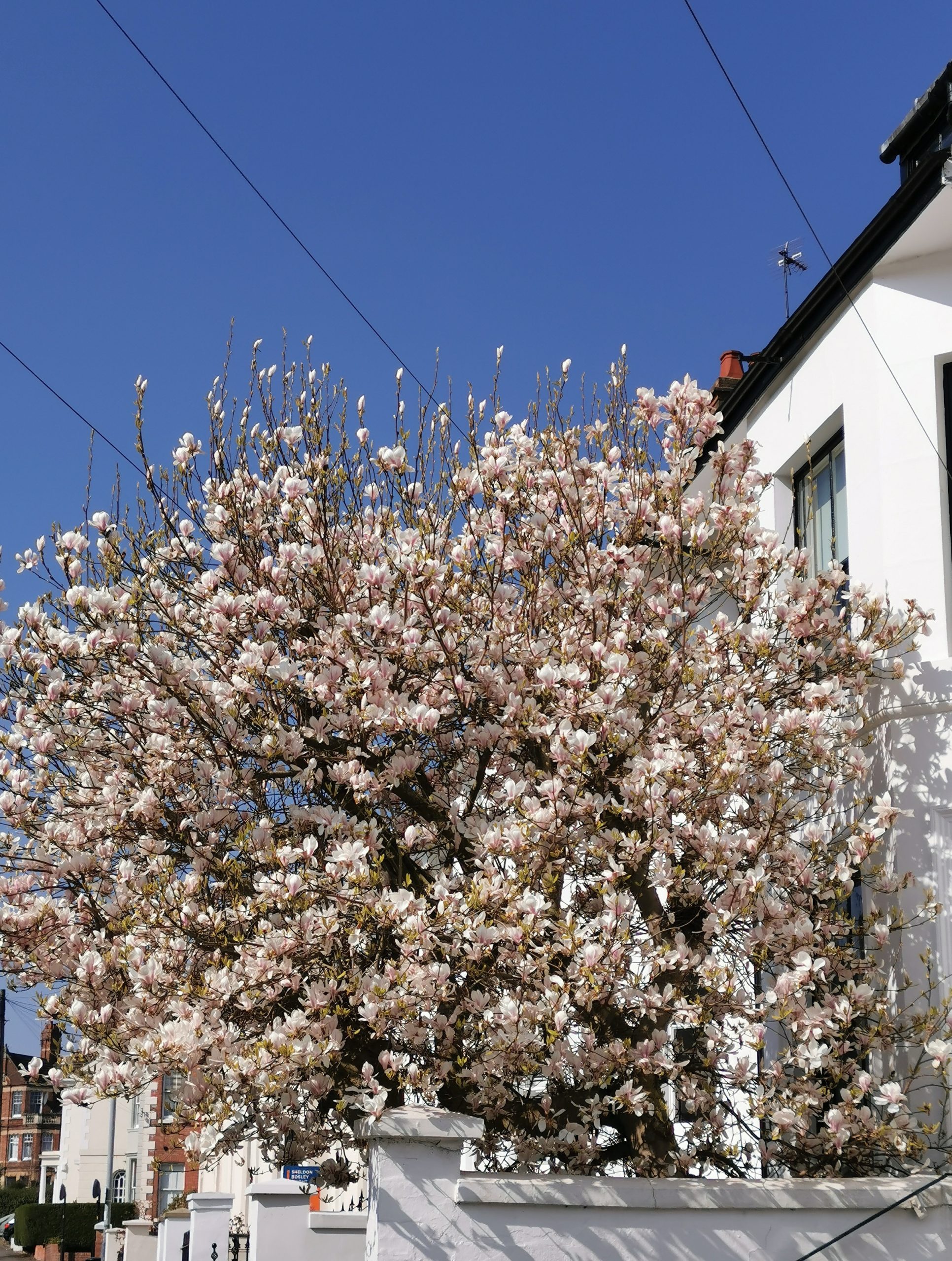 Street scene – around the town